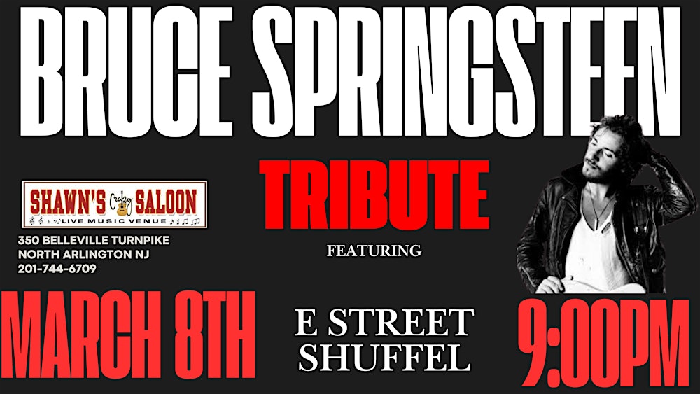 Bruce Springsteen Tribute E Street Shuffel