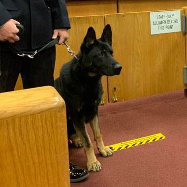 Secaucus Police Unveil K-9 Honoring Victim of 9-11