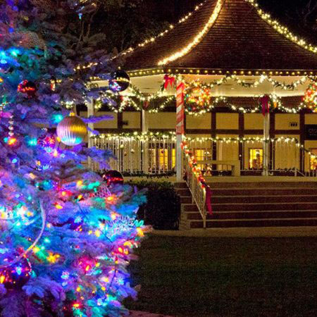 Holiday Lights - Exterior Illumination Contest