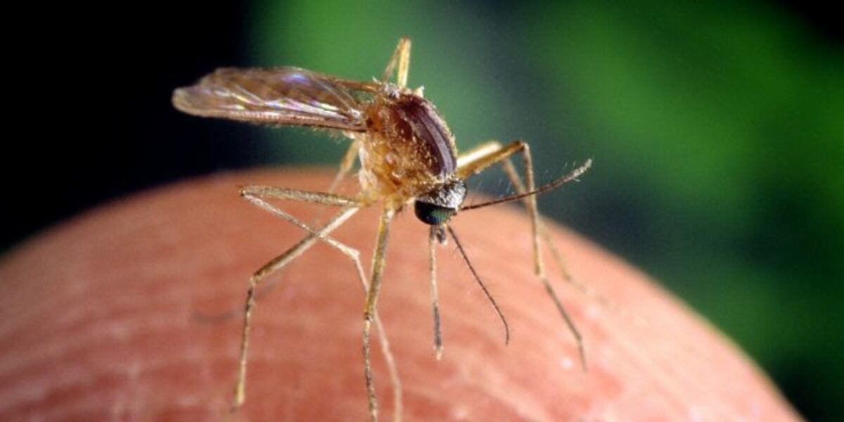 Active Reports of West Nile Virus in Sussex County