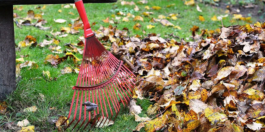 Kearny’s 2024 Fall Leaf Collection Begins November 4th