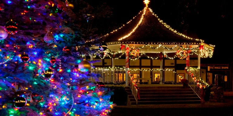 Winners for 2024 Holiday Lights Contest